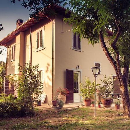 B&B Regina San Miniato Exteriör bild